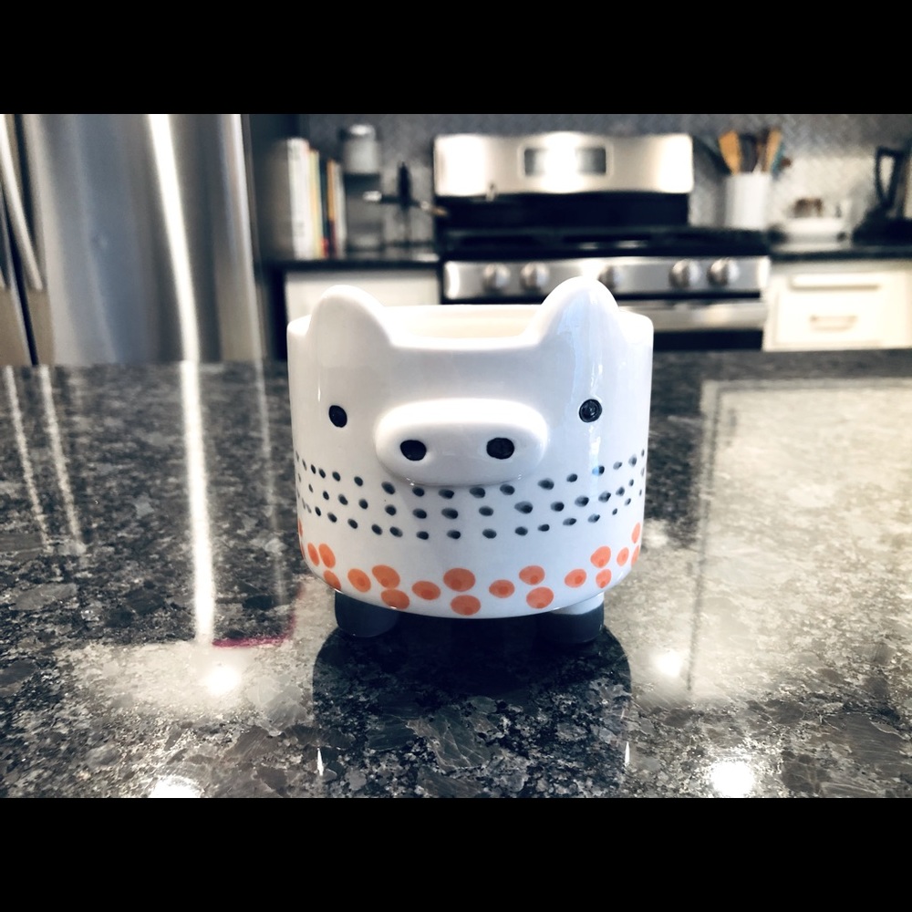 Ceramic Piggy Planter